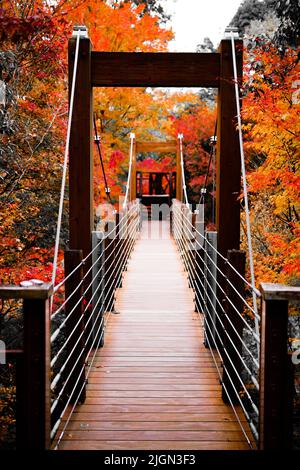 Image of suspension bridge in a public park surrounded by Japanese Maple tree during fall season Stock Photo