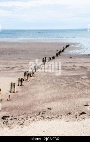 Around the UK - Timber Groynes, Sandsend Bay, Cleveland Way, North Yorkshire, UK Stock Photo