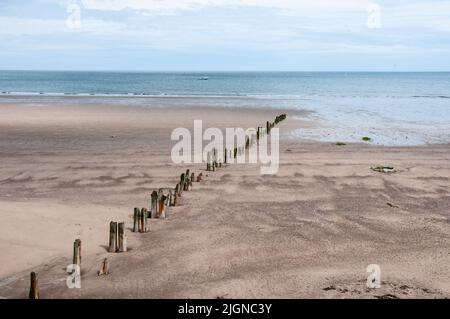 Around the UK - Timber Groynes, Sandsend Bay, Cleveland Way, North Yorkshire, UK Stock Photo