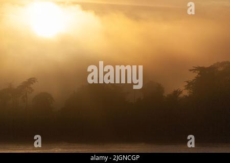 Dreamlike image of the setting sun breaking through a cloud layer and showing tree silhouttes. Stock Photo