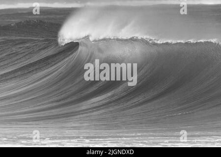 Ocean wave upright sea water crashing breaking in scenic black and white photo. Stock Photo