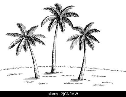 Palm Trees Sketch. Vector & Photo (Free Trial) | Bigstock