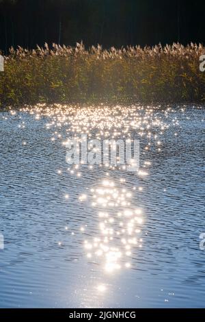 Water reflections in a lake Stock Photo