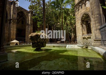 Barcelona Cathedral Cloister with the fountain and the 'Ou com balla' (the egg as it dances), a Catalan tradition of Corpus Day (Barcelona, Spain) Stock Photo