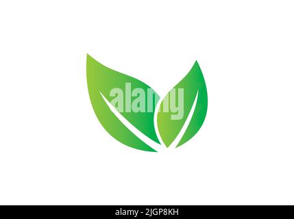 Simple green leaf on white background Stock Vector
