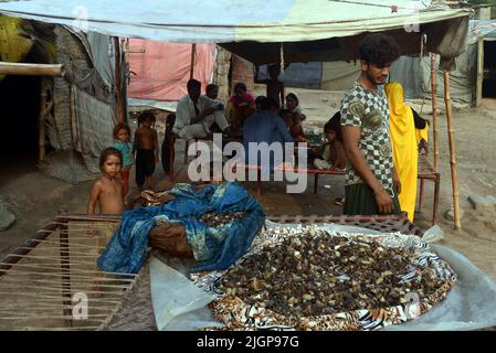 Pakistani gypsy spread salted meat for drying on a charpai collected from different places during the 2nd day of the Muslims Eid al-Adha celebration or Festival of Sacrifice in Lahore. Muslims celebrate Eid al-Adha or Feast of Sacrifice, the second of two Islamic holidays celebrated worldwide marking the end of the annual pilgrimage or Hajj to the Saudi holy city of Mecca and commemorating the willingness of the Prophet Ibrahim, Abraham to Christians and Jews, to sacrifice his son. During the holiday, which in most places lasts four days, Muslims Slaughtering sheep, goats, cows, and camels to Stock Photo