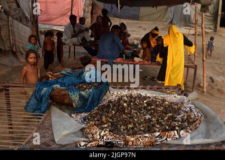 Pakistani gypsy spread salted meat for drying on a charpai collected from different places during the 2nd day of the Muslims Eid al-Adha celebration or Festival of Sacrifice in Lahore. Muslims celebrate Eid al-Adha or Feast of Sacrifice, the second of two Islamic holidays celebrated worldwide marking the end of the annual pilgrimage or Hajj to the Saudi holy city of Mecca and commemorating the willingness of the Prophet Ibrahim, Abraham to Christians and Jews, to sacrifice his son. During the holiday, which in most places lasts four days, Muslims Slaughtering sheep, goats, cows, and camels to Stock Photo