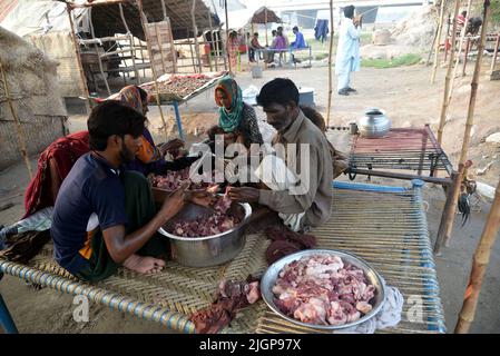 Pakistani gypsy spread salted meat for drying on a charpai collected from different places during the 2nd day of the Muslims Eid al-Adha celebration or Festival of Sacrifice in Lahore. Muslims celebrate Eid al-Adha or Feast of Sacrifice, the second of two Islamic holidays celebrated worldwide marking the end of the annual pilgrimage or Hajj to the Saudi holy city of Mecca and commemorating the willingness of the Prophet Ibrahim, Abraham to Christians and Jews, to sacrifice his son. During the holiday, which in most places lasts four days, Muslims Slaughtering sheep, goats, cows, and camels to Stock Photo