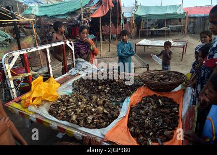 Pakistani gypsy spread salted meat for drying on a charpai collected from different places during the 2nd day of the Muslims Eid al-Adha celebration or Festival of Sacrifice in Lahore. Muslims celebrate Eid al-Adha or Feast of Sacrifice, the second of two Islamic holidays celebrated worldwide marking the end of the annual pilgrimage or Hajj to the Saudi holy city of Mecca and commemorating the willingness of the Prophet Ibrahim, Abraham to Christians and Jews, to sacrifice his son. During the holiday, which in most places lasts four days, Muslims Slaughtering sheep, goats, cows, and camels to Stock Photo