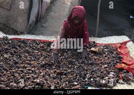 July 11, 2022, Lahore, Punjab, Pakistan: Pakistani gypsy spread salted meat for drying on a charpai collected from different places during the 2nd day of the Muslims Eid al-Adha celebration or Festival of Sacrifice in Lahore. Muslims celebrate Eid al-Adha or Feast of Sacrifice, the second of two Islamic holidays celebrated worldwide marking the end of the annual pilgrimage or Hajj to the Saudi holy city of Mecca and commemorating the willingness of the Prophet Ibrahim, Abraham to Christians and Jews, to sacrifice his son. During the holiday, which in most places lasts four days, Muslims Slaugh Stock Photo