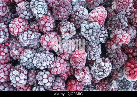 Full frame of frozen blackberries. Frosty fruit background Stock Photo