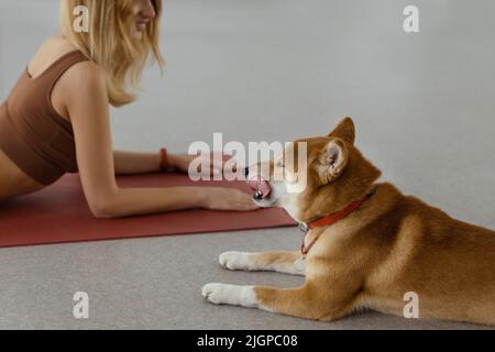 The dog practices yoga in the cobra pose in the studio. Young women meditating with pet Stock Photo