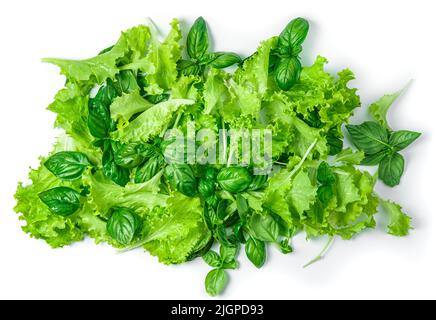 Lettuce and basil leaves isolated on a white background. Stock Photo