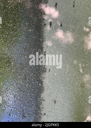 Texture of wet asphalt in the shade Stock Photo