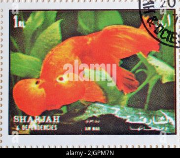 Cancelled postage stamps printed by Sharjah, that show Aquarium Fish, circa 1972. Stock Photo