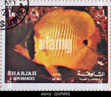 Cancelled postage stamps printed by Sharjah, that show Aquarium Fish, circa 1972. Stock Photo