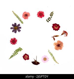 Frame from pressed and dried summer flowers Stock Photo