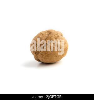 Single ripe whole walnut isolated on a white background. Nut macro. Healthy food concept. Beautiful organic nut. Vegetarian food. Square photo. Stock Photo