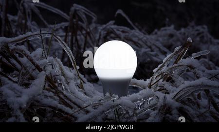 White LED light bulb on soil against natural background in the night winter forest. Creative photo of saving energy concept. LED lump is on. Stock Photo