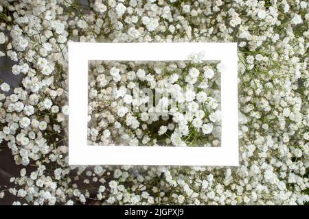 Gypsophyla paniculata little flowers with a white glowing frame in the middle. Stock Photo