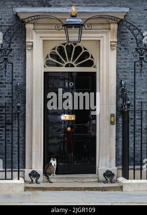 London, UK. 12th July, 2022. Larry the Cat, chief mouser and resident feline at 10 Downing Street, lazily rolls around and snoozes on the pavement outside 10 Downing Street in hot temperatures above 30 degrees in Westminster, occasionally checking out his own reflection in the iconic black door. Despite the ongoing political crisis and leadership contest, the famous cat seems to take all of the media attention in its stride. Credit: Imageplotter/Alamy Live News