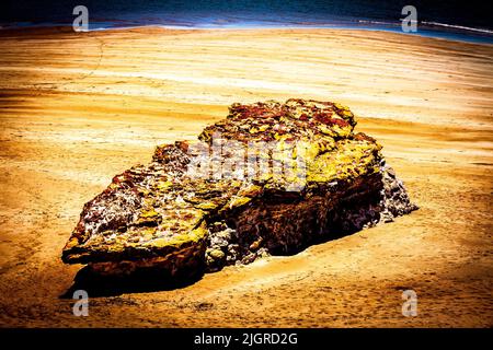 A piece of casuarina Beach Rocks in Darwin, Northern Territory, Australia. Stock Photo