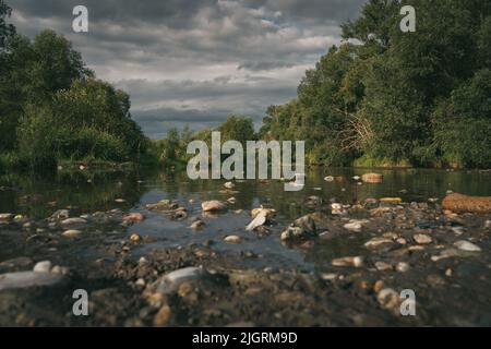 Low angle shot background for water and small trees with a boat view ...