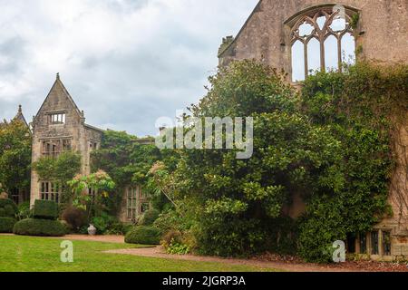 The romantic ruins of Nymans, destroyed by fire in 1947, and now surrounded by luxuriant and exotic planting: West Sussex, UK Stock Photo