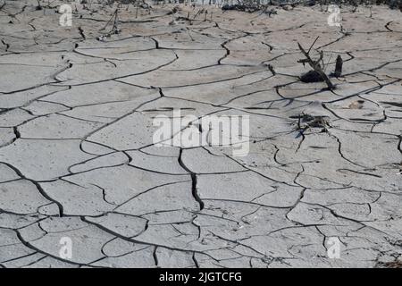 Cracked Earth Stock Photo