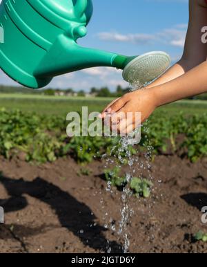Little girl washes her hands under running water in nature. A stream of water flows into the hands of a girl. Drops of water sprayed in hands close-up Stock Photo