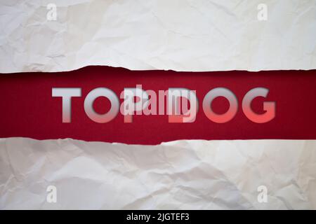 Top Dog text with Torn, Crumpled White Paper on colored background. Stock Photo