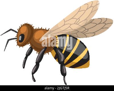 bee honey cartoon vector illustration Stock Vector