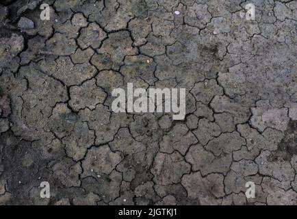 dry crack ground, Stock Photo