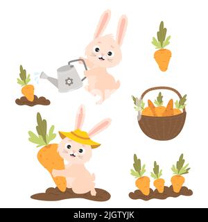Collection of cartoon rabbits with carrots. Cute bunny is watering carrot from watering can in garden bed, harvesting and wicker basket of carrots Stock Vector