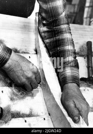 Written on the back: The spant is pulled in with pencil Stock Photo