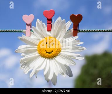 chamomile flower with smile pinned on rope with clothespins in shape of heart against sky. Greeting card with love for birthday, mother's day. concept Stock Photo