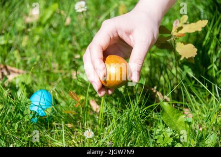 Easter egg in a woman's hand among the grass. Hidden Easter eggs. Selective focus on female hand. Stock Photo