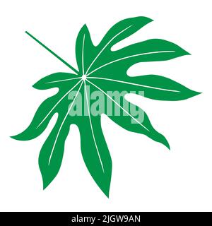 Tropical leaf vector illustration on white background Stock Vector