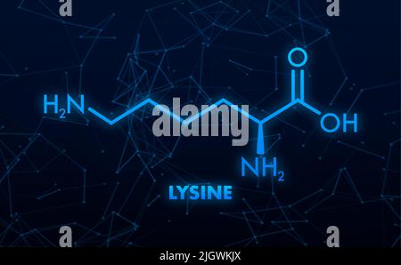 Lysine formula, great design for any purposes. Essential Amino Acid simple skeletal formula. Stock Vector