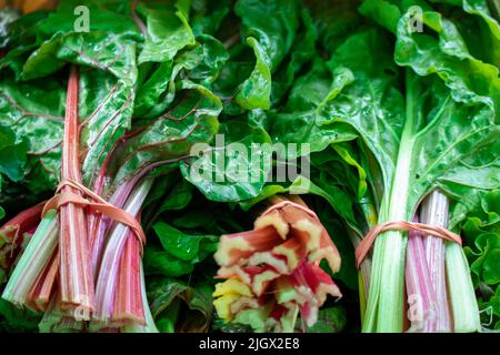 organic freash harvest of Swiss chard from a farmers market tied with rubber bands Stock Photo