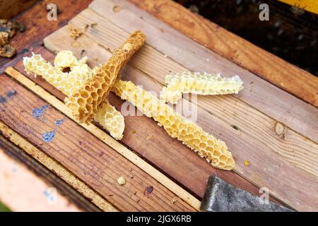 Pieces of bee hives on a wood surface Stock Photo