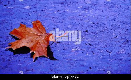 An autumn leaf lies on dark marble, like a sad memory of a loved one who is not there. Stock Photo