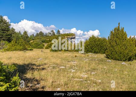 On the plateau of Serre Chauvière you can look over the upper Drôme valley, France Stock Photo