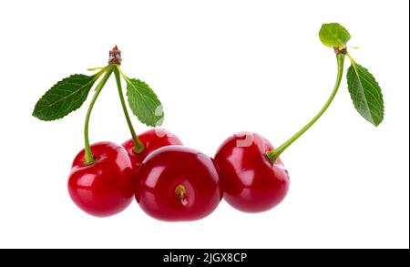 Cherry isolated on white background. Red ripe berry of sweet cherry. Clipping path Stock Photo