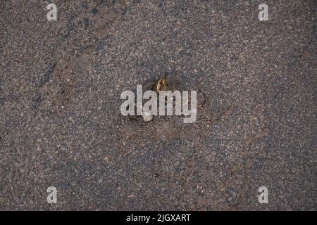 black asphalt texture. asphalt road. stone asphalt texture background black granite gravel Stock Photo