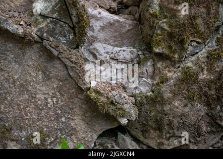 Background of stone wall texture photo Stock Photo