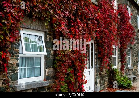 Courtyard at the Virginia Park Lodge in County Cavan, Ireland. Stock Photo