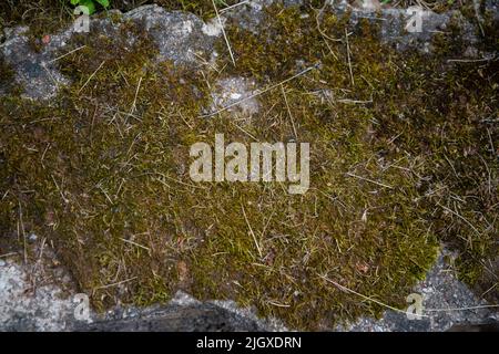 Background of stone wall texture photo Stock Photo