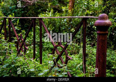 And old iron gate on 100 acres of walking trails at Virginia Park Lodge in Virginia, Ireland. Stock Photo