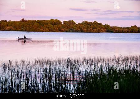 Lough Ramor in Virginia, Ireland Stock Photo - Alamy